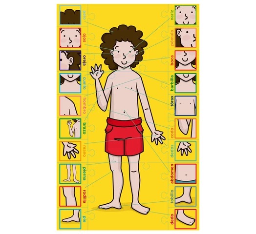 Juego del Cuerpo Humano - Imagen 2