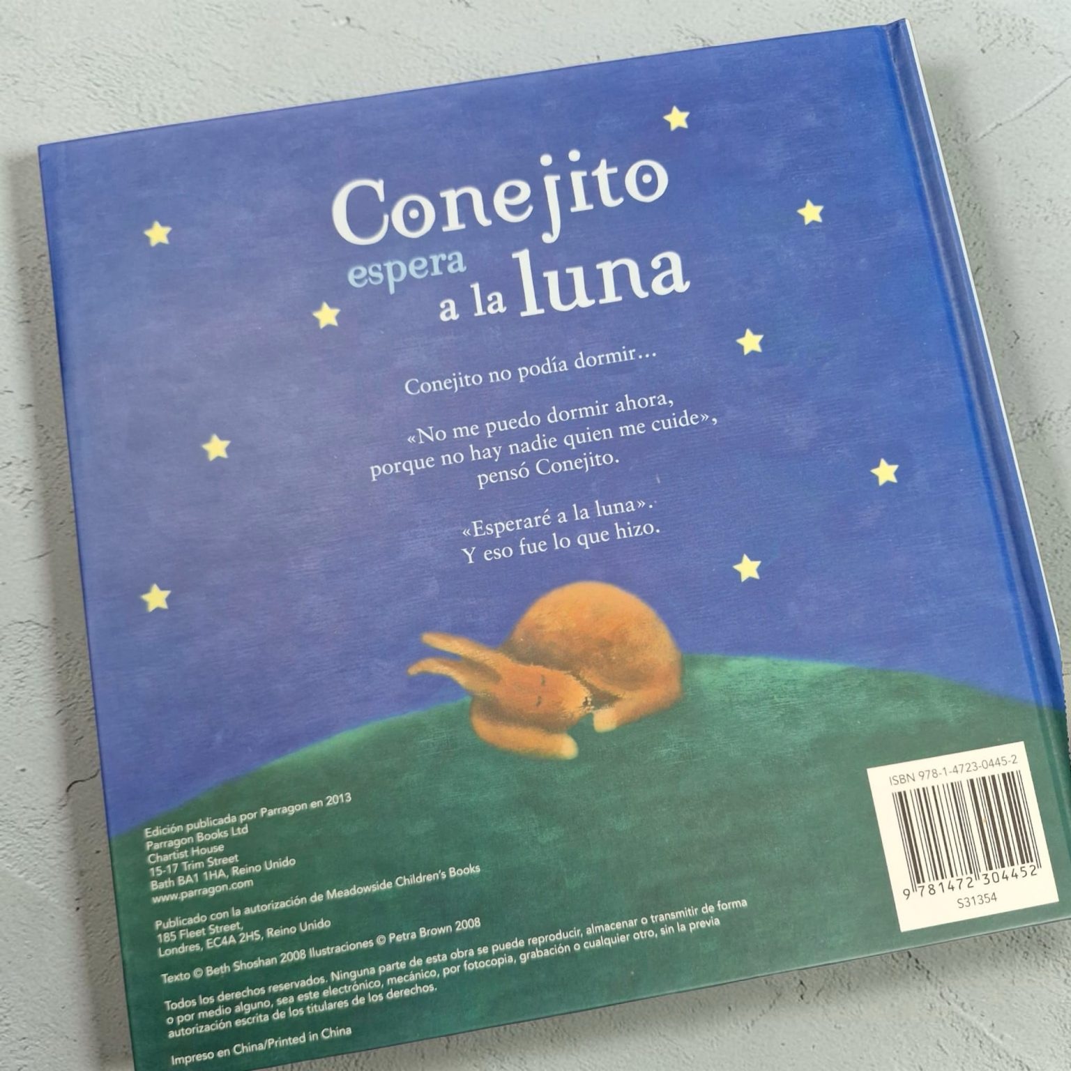Conejito espera la luna - Imagen 2